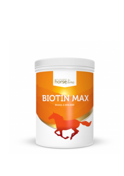 BiotinMax 500g