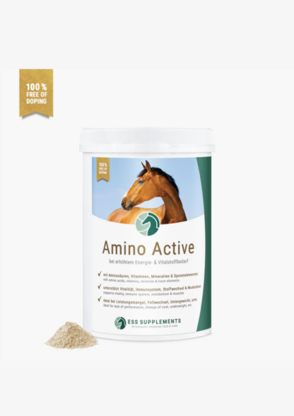 ESS Amino Active 1kg