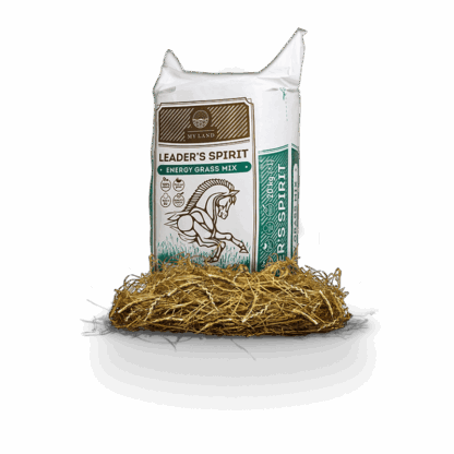 Sianokiszonka LEADER'S SPIRIT ENERGY grass mix  20 kg - obrazek 2